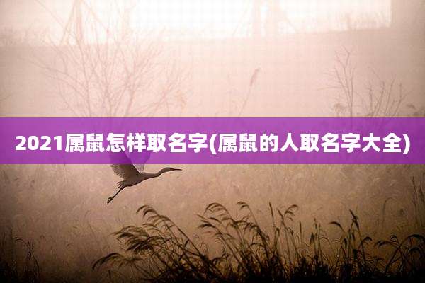 2021属鼠怎样取名字(属鼠的人取名字大全)