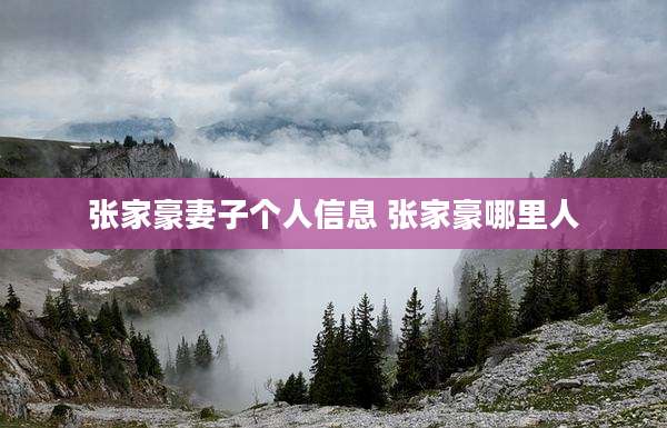 张家豪妻子个人信息 张家豪哪里人