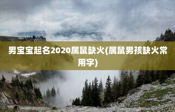 男宝宝起名2020属鼠缺火(属鼠男孩缺火常用字)