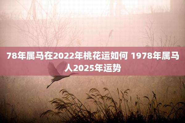 78年属马在2022年桃花运如何 1978年属马人2025年运势