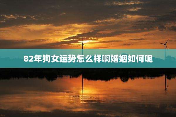 82年狗女运势怎么样啊婚姻如何呢