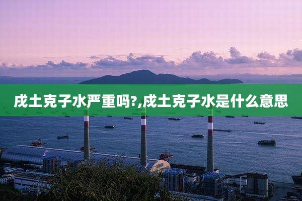 戌土克子水严重吗?,戍土克子水是什么意思