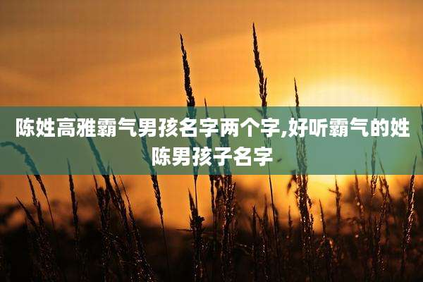 陈姓高雅霸气男孩名字两个字,好听霸气的姓陈男孩子名字