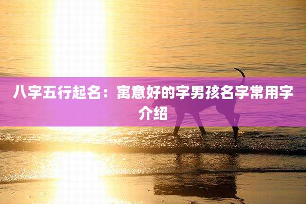 八字五行起名：寓意好的字男孩名字常用字介绍
