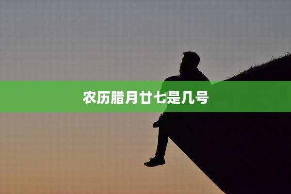 农历腊月廿七是几号