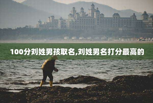100分刘姓男孩取名,刘姓男名打分最高的