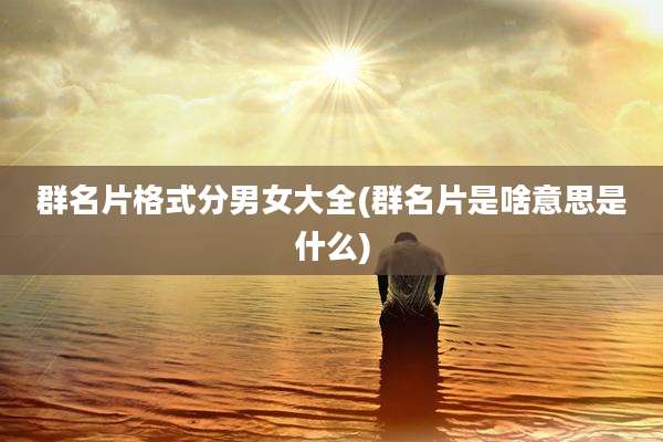 群名片格式分男女大全(群名片是啥意思是什么)