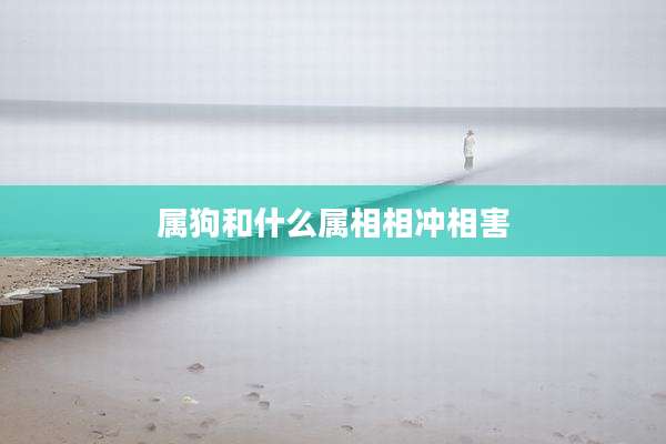 属狗和什么属相相冲相害