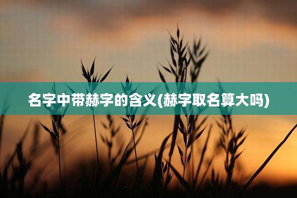 名字中带赫字的含义(赫字取名算大吗)
