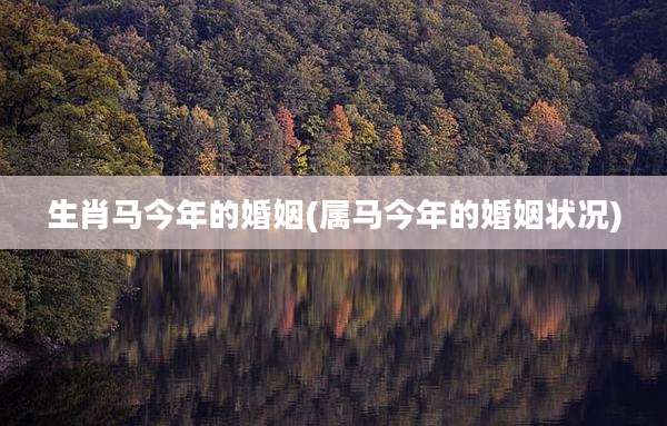 生肖马今年的婚姻(属马今年的婚姻状况)