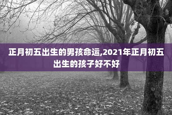 正月初五出生的男孩命运,2021年正月初五出生的孩子好不好