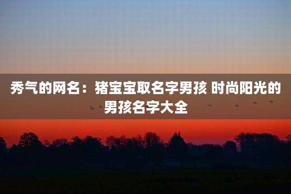 秀气的网名：猪宝宝取名字男孩 时尚阳光的男孩名字大全