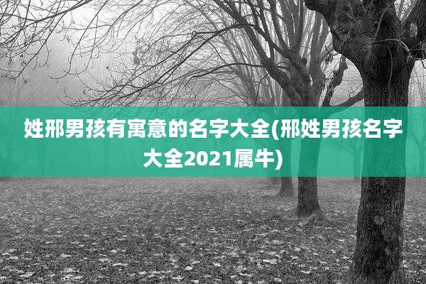 姓邢男孩有寓意的名字大全(邢姓男孩名字大全2021属牛)