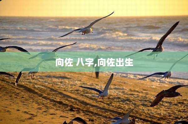 向佐 八字,向佐出生