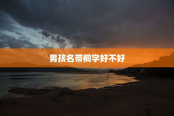 男孩名带桐字好不好