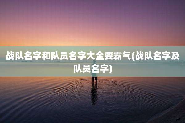 战队名字和队员名字大全要霸气(战队名字及队员名字)
