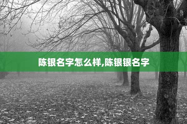 陈银名字怎么样,陈银银名字
