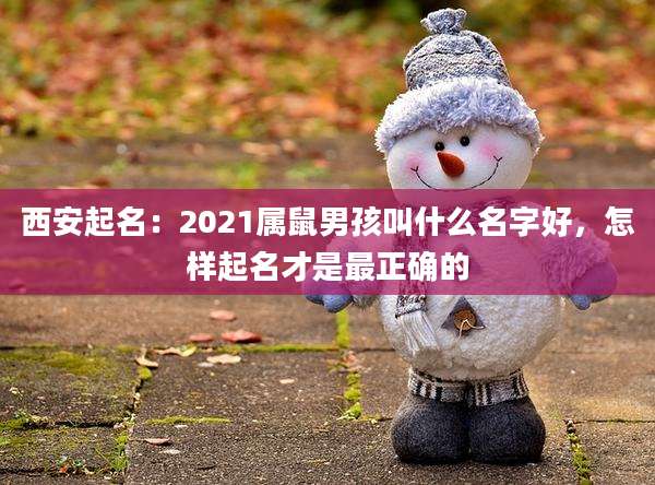 西安起名：2021属鼠男孩叫什么名字好，怎样起名才是最正确的