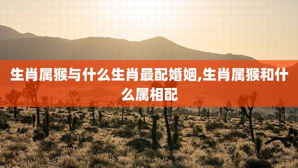 生肖属猴与什么生肖最配婚姻,生肖属猴和什么属相配