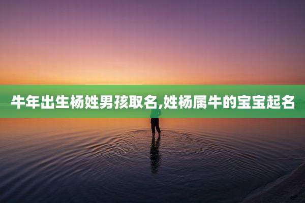 牛年出生杨姓男孩取名,姓杨属牛的宝宝起名