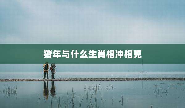 猪年与什么生肖相冲相克