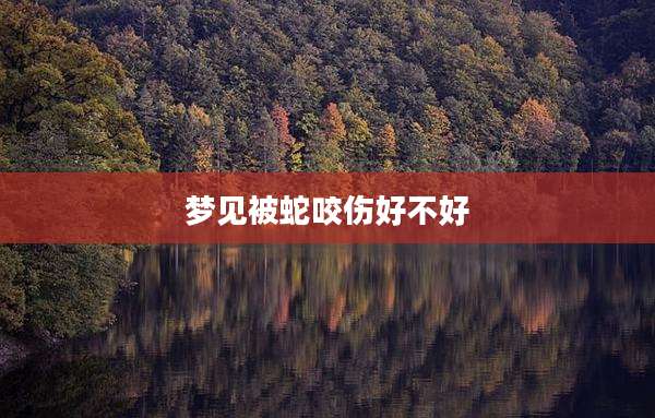 梦见被蛇咬伤好不好