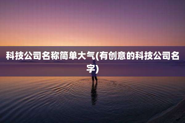 科技公司名称简单大气(有创意的科技公司名字)