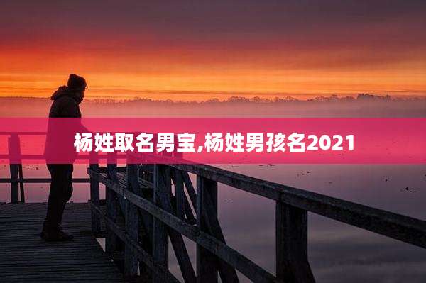 杨姓取名男宝,杨姓男孩名2021