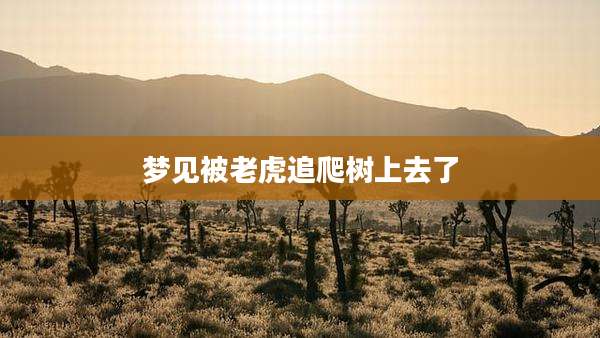 梦见被老虎追爬树上去了