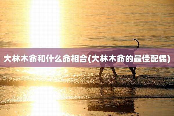 大林木命和什么命相合(大林木命的最佳配偶)
