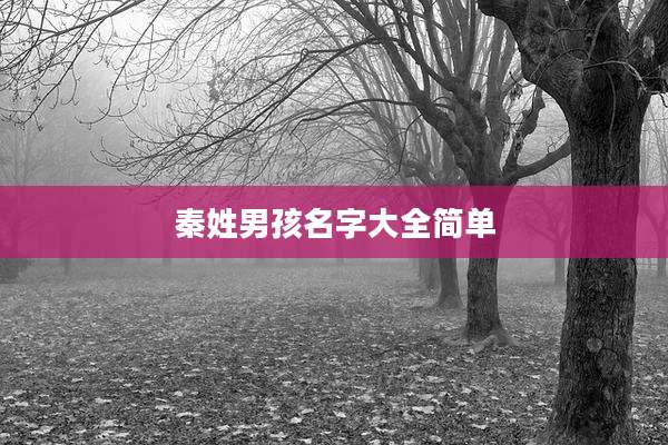 秦姓男孩名字大全简单