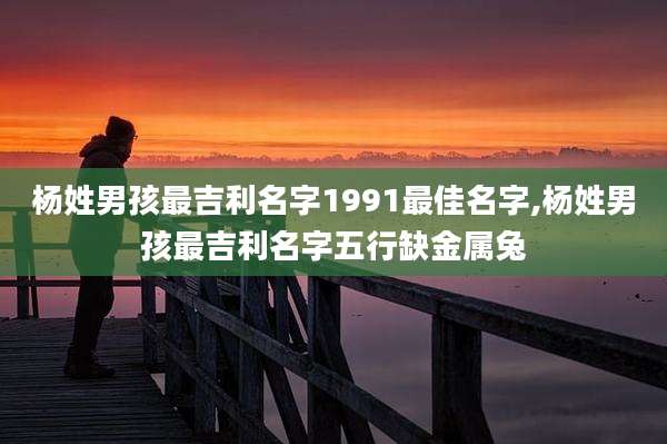 杨姓男孩最吉利名字1991最佳名字,杨姓男孩最吉利名字五行缺金属兔
