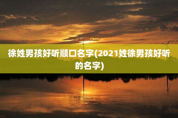 徐姓男孩好听顺口名字(2021姓徐男孩好听的名字)