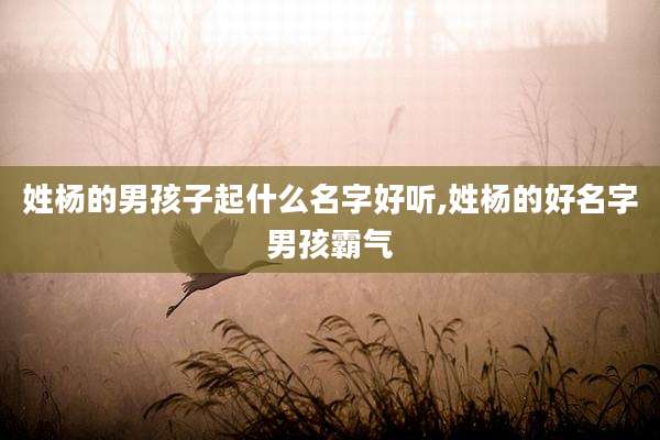 姓杨的男孩子起什么名字好听,姓杨的好名字男孩霸气