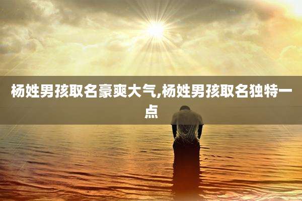 杨姓男孩取名豪爽大气,杨姓男孩取名独特一点