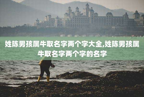 姓陈男孩属牛取名字两个字大全,姓陈男孩属牛取名字两个字的名字