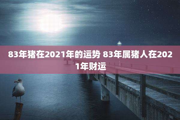83年猪在2021年的运势 83年属猪人在2021年财运