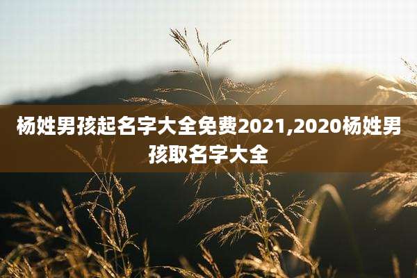 杨姓男孩起名字大全免费2021,2020杨姓男孩取名字大全