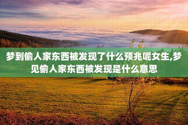 梦到偷人家东西被发现了什么预兆呢女生,梦见偷人家东西被发现是什么意思