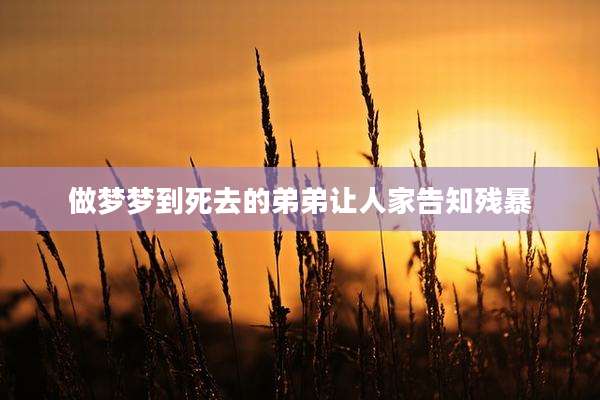 做梦梦到死去的弟弟让人家告知残暴