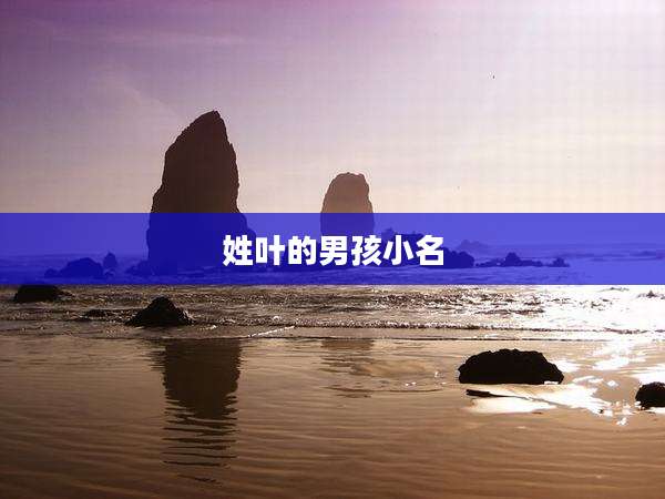 姓叶的男孩小名