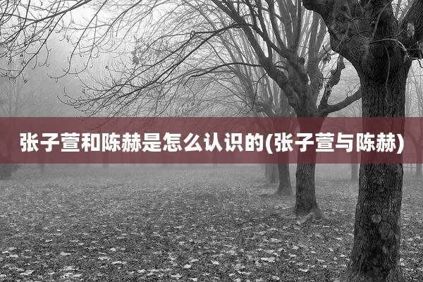 张子萱和陈赫是怎么认识的(张子萱与陈赫)