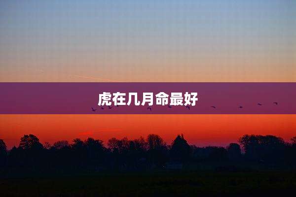 虎在几月命最好