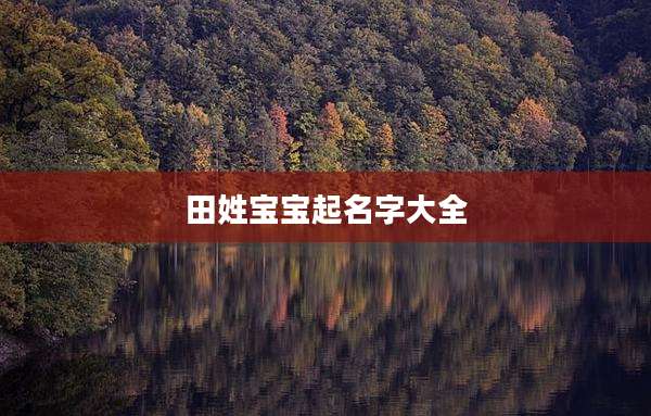 田姓宝宝起名字大全