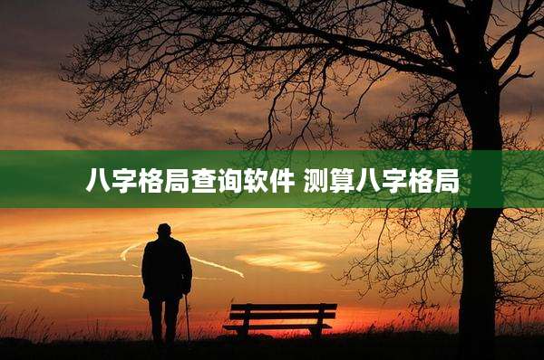 八字格局查询软件 测算八字格局