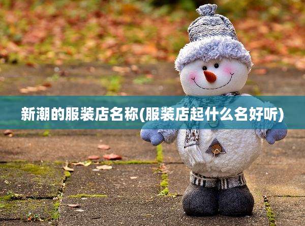 新潮的服装店名称(服装店起什么名好听)