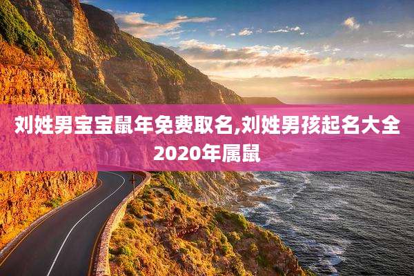 刘姓男宝宝鼠年免费取名,刘姓男孩起名大全2020年属鼠