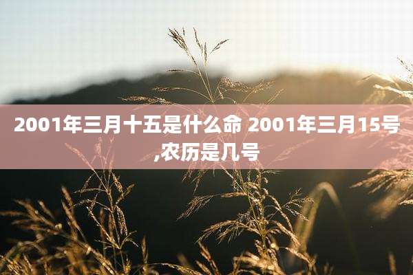2001年三月十五是什么命 2001年三月15号,农历是几号