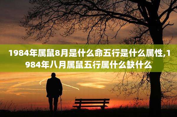 1984年属鼠8月是什么命五行是什么属性,1984年八月属鼠五行属什么缺什么