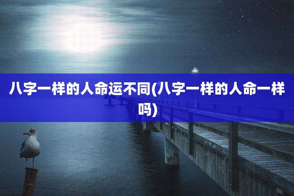 八字一样的人命运不同(八字一样的人命一样吗)